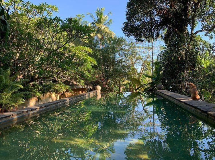 Sri Yoga Shala Bed & Breakfast Unawatuna Exterior foto